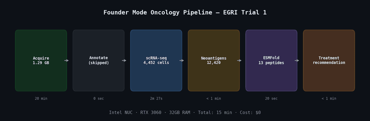 Pipeline Overview